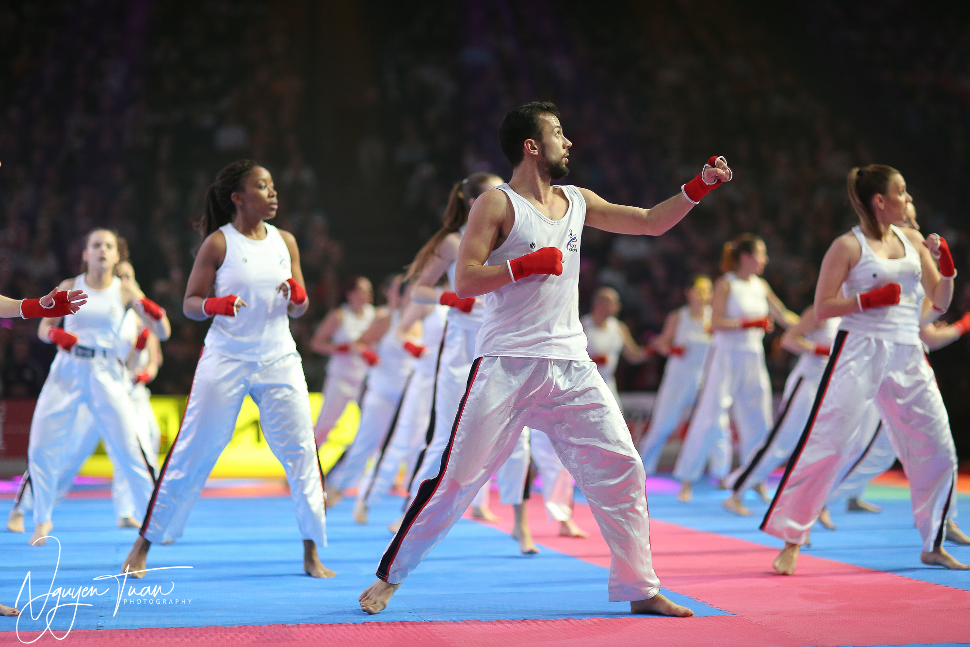 20190324 Festival des Arts Martiaux 2083